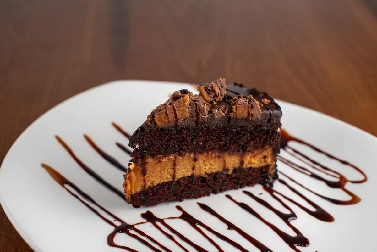 Peanut butter chocolate cake with a drizzle of chocolate sauce